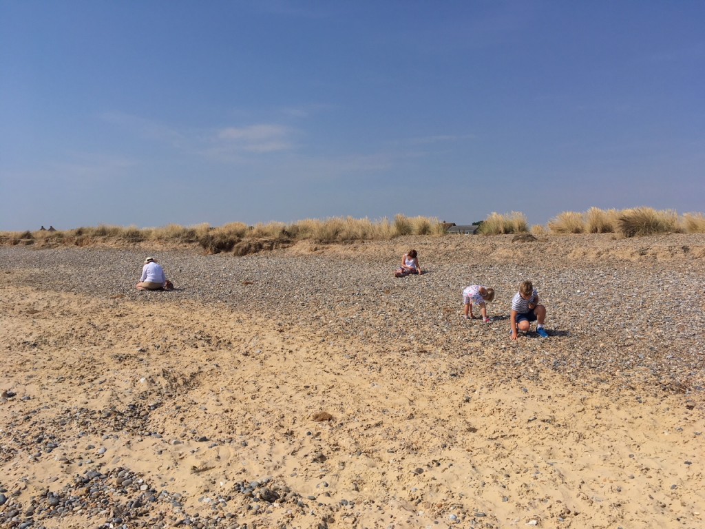 wide shot of kids beachcombing on a sandy beach